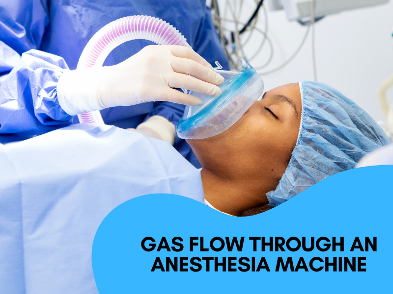 Anesthesia Machines